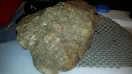 1479168835908.webp