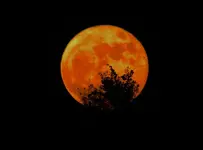 DSCN0365.webp
