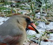 DSCN0812.webp
