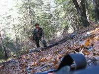 163_6344.webp