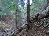 163_6349.webp