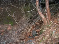 163_6353.webp