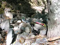 169_6983.webp