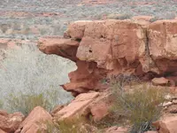 DSCN0009.webp