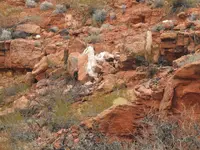 DSCN0010.webp