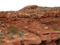 DSCN0012.webp