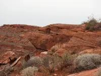 DSCN0017.webp
