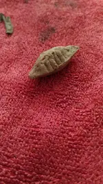 P_20161126_124147.webp