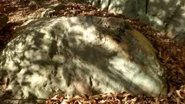 1480165894232.webp