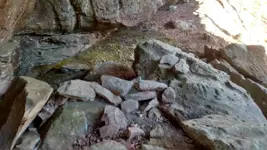 1480166088726.webp