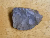 DSCF7186.webp