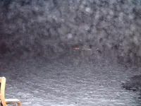 DSCF0002.webp