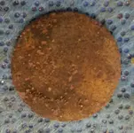 20170116_193552.webp