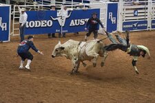 The-History-of-Bull-Riding-1030x687.jpg