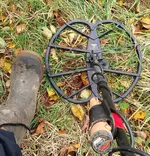 IMG_20161126_1114001~2.webp