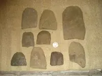 021608 017.webp