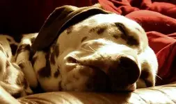 tired.webp