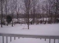 100_9634.webp