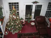 tree1.webp