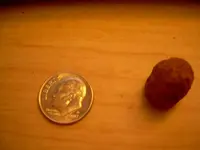 DSCN19731.webp