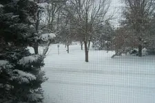 Snow in Lincoln 12-15-2007 10.webp