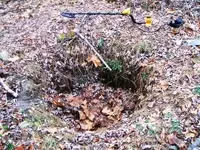 2008_0117Image0001a.webp