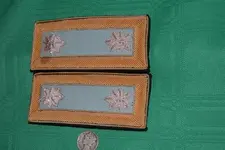 Picture 006.webp