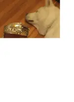 ring3.webp