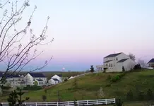Moon set2.JPGsized.webp