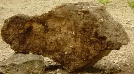 Rock -1.webp