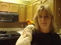 birds and motorhme 012.webp