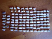 cw bullet collection 002.webp