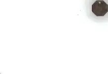 dt3.webp