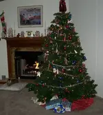 2007 Tree.webp