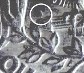 quarter2_crop.webp quarter2_crop.webp