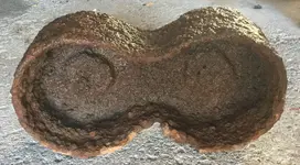 Unknown Underside.webp