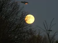 DSCF7060.webp