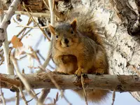 walk 121516 3.webp