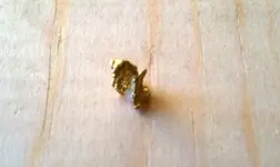 gold nug 1.webp