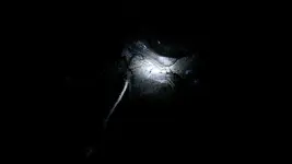 cave2.webp