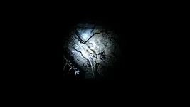 cave3.webp