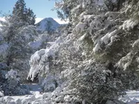 Thumb.Butte.webp