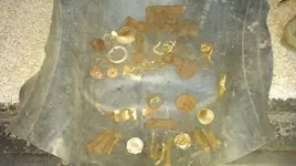 1205 Trash.webp