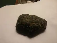 20170117_172150.webp