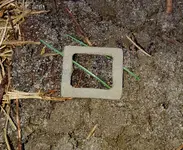20170117_203012.webp 20170117_203012.webp