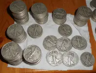 DSCN6921.webp