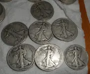 DSCN6922.webp