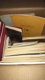 ImageUploadedByTreasureNet.com1481909061.490967.webp