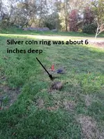 Coin Ring 1-1-17 004.webp