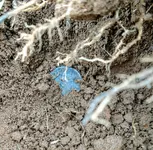 IMG_20170203_151426907.webp IMG_20170203_151426907.webp